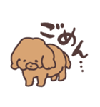 トイプードル毎日あいさつリアクション（個別スタンプ：32）