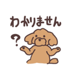 トイプードル毎日あいさつリアクション（個別スタンプ：34）