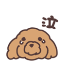 トイプードル毎日あいさつリアクション（個別スタンプ：36）