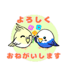 かわインコDay 夏（個別スタンプ：6）