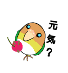 かわインコDay 夏（個別スタンプ：30）