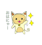 着ぐるみ猫（個別スタンプ：1）