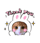 猫たちと私（個別スタンプ：1）