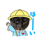 猫たちと私（個別スタンプ：4）