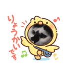 猫たちと私（個別スタンプ：5）