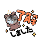 猫たちと私（個別スタンプ：6）