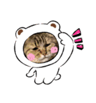 猫たちと私（個別スタンプ：7）
