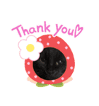 猫たちと私（個別スタンプ：8）