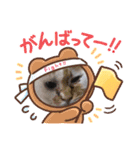 猫たちと私（個別スタンプ：9）