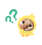 猫たちと私（個別スタンプ：11）