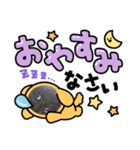 猫たちと私（個別スタンプ：16）