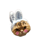 モップとミルク4（個別スタンプ：3）