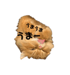 モップとミルク4（個別スタンプ：23）