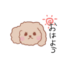 あいさつプードル（個別スタンプ：2）