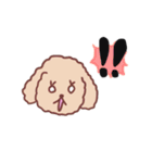 あいさつプードル（個別スタンプ：13）