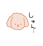 あいさつプードル（個別スタンプ：16）