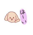 あいさつプードル（個別スタンプ：19）