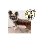 らいらいのヒトコト（個別スタンプ：2）