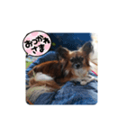 らいらいのヒトコト（個別スタンプ：4）