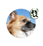 らいらいのヒトコト（個別スタンプ：5）