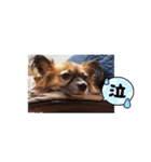 らいらいのヒトコト（個別スタンプ：6）