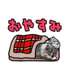 あおいちゃん②（個別スタンプ：2）