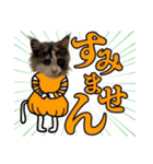 あおいちゃん②（個別スタンプ：4）