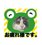 あおいちゃん②（個別スタンプ：7）