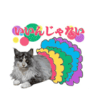 あおいちゃん②（個別スタンプ：8）