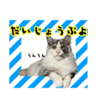 あおいちゃん②（個別スタンプ：14）