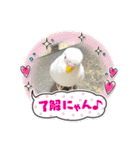 2匹インコちゃんと孫ちゃん(*ˊᵕˋ*)੭ ੈ❤︎（個別スタンプ：5）