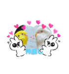 2匹インコちゃんと孫ちゃん(*ˊᵕˋ*)੭ ੈ❤︎（個別スタンプ：6）