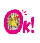 2匹インコちゃんと孫ちゃん(*ˊᵕˋ*)੭ ੈ❤︎（個別スタンプ：24）