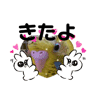 可愛い可愛いピーちゃんのスタンプ（個別スタンプ：2）