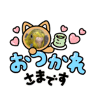 可愛い可愛いピーちゃんのスタンプ（個別スタンプ：3）