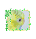 可愛い可愛いピーちゃんのスタンプ（個別スタンプ：4）
