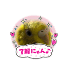 可愛い可愛いピーちゃんのスタンプ（個別スタンプ：7）