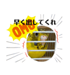 可愛い可愛いピーちゃんのスタンプ（個別スタンプ：10）