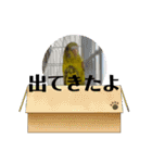 可愛い可愛いピーちゃんのスタンプ（個別スタンプ：14）