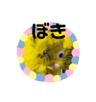 可愛い可愛いピーちゃんのスタンプ（個別スタンプ：21）