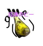 可愛い可愛いピーちゃんのスタンプ（個別スタンプ：24）