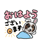 パピヨンブラザーズ♡♡（個別スタンプ：1）