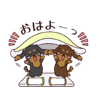 いやしの日常 ブラック＆チョコ ダックス編（個別スタンプ：1）