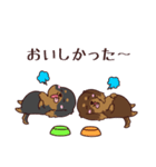 いやしの日常 ブラック＆チョコ ダックス編（個別スタンプ：19）