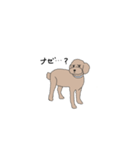 困り顔プードル(poodle)2（個別スタンプ：2）