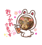 ダックス 犬 日常（個別スタンプ：3）