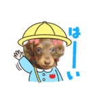 ダックス 犬 日常（個別スタンプ：4）