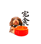 ダックス 犬 日常（個別スタンプ：7）