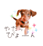 ダックス 犬 日常（個別スタンプ：18）