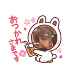 ダックス 犬 日常（個別スタンプ：32）